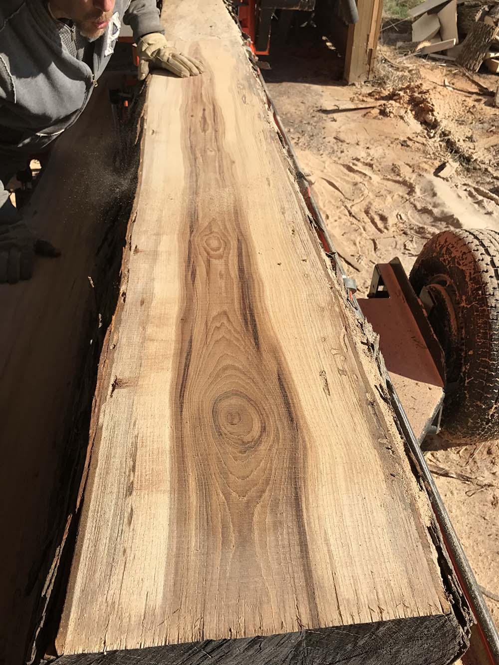 Live Edge Hickory Wood for Sale | Hickory Wood Slabs for ...